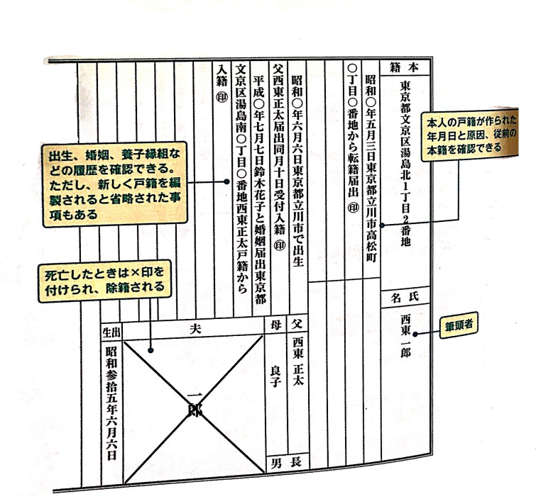 戸籍謄本の見方 見本